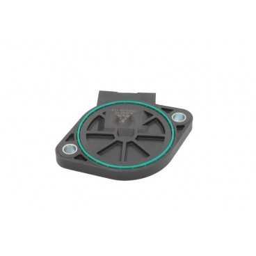 Senzor pozitie ax cu came