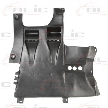 Scut motor/cutie viteze