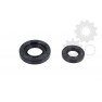 Crankshaft oil seals