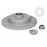 Brake disk with bearing