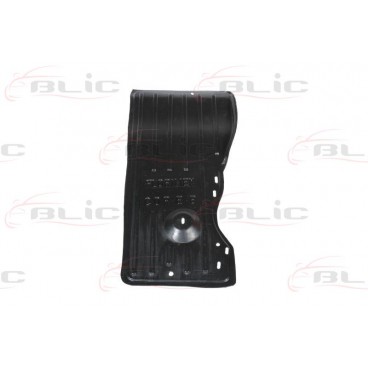 Scut motor/cutie viteze