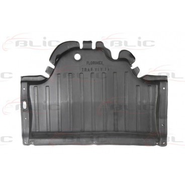 Scut motor/cutie viteze