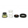 Kit reparatie pompa combustibil