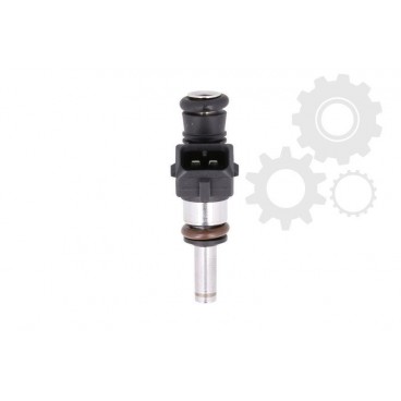 Injector combustibil