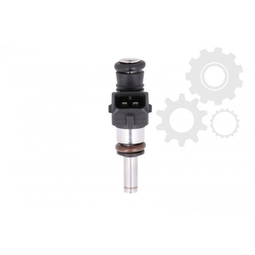 Injector combustibil