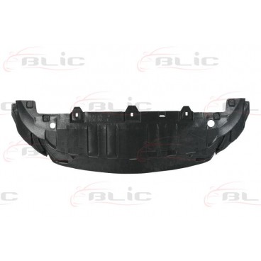 Scut motor/cutie viteze