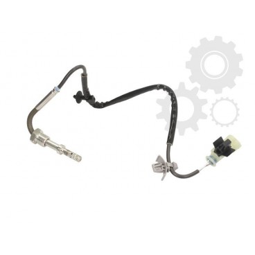 Senzor temperatura evacuare