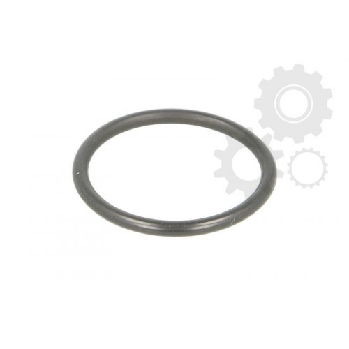 Brake shoe o-ring