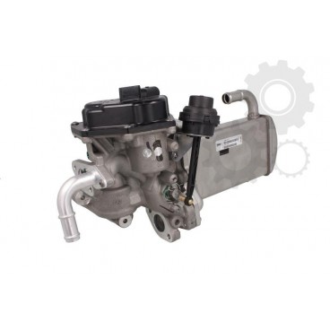 Supapa EGR