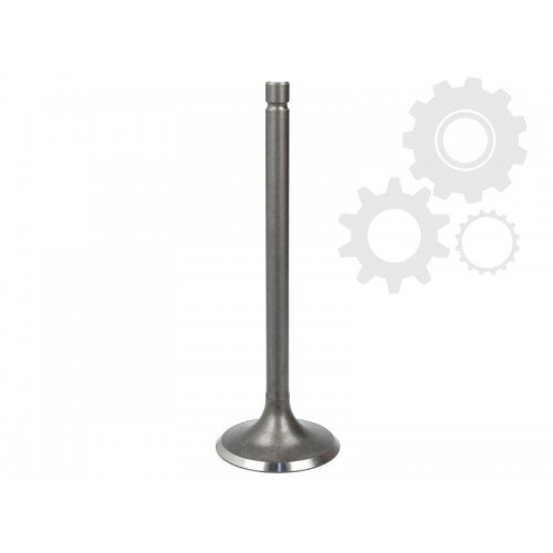 Supape/pastile reglaj Supape/pastile reglaj