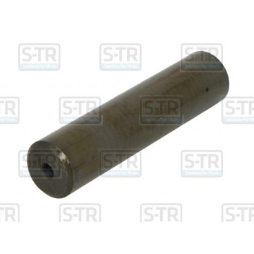 Leaf spring bolt