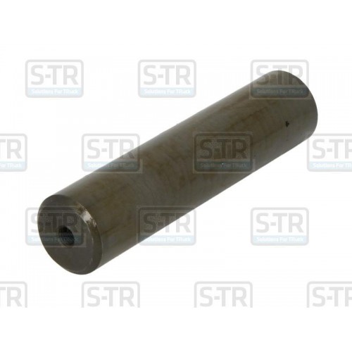 Leaf spring bolt