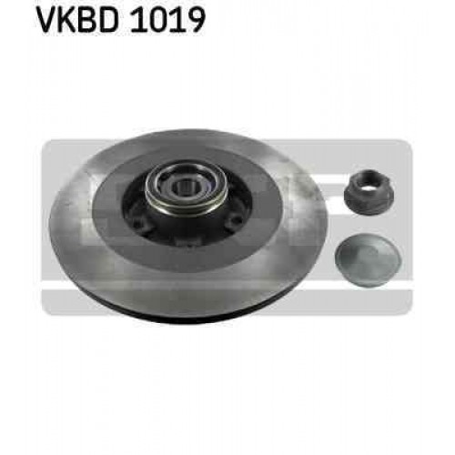 Brake disk with bearing