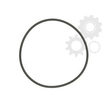 Garnitura pompa combustibil