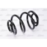 Arc suspensie axa spate
