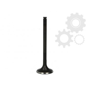 Supape/pastile reglaj