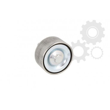 Intinzator curea transmisie