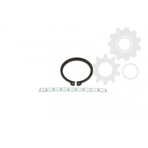 Outer Seeger rings