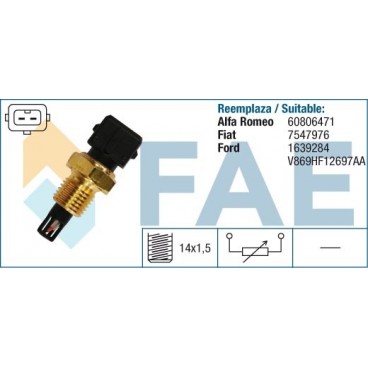 Senzor temperatura aer admisie
