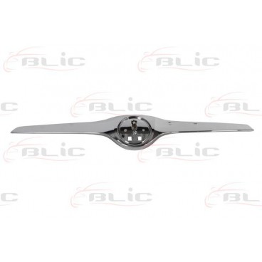 Elemente capota motor