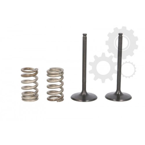 Supape/pastile reglaj Supape/pastile reglaj