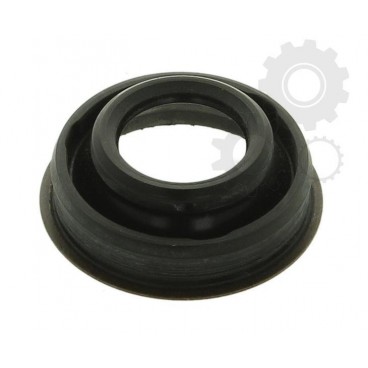 Garnitura bujie scantie