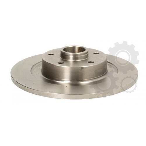 Brake disk with bearing