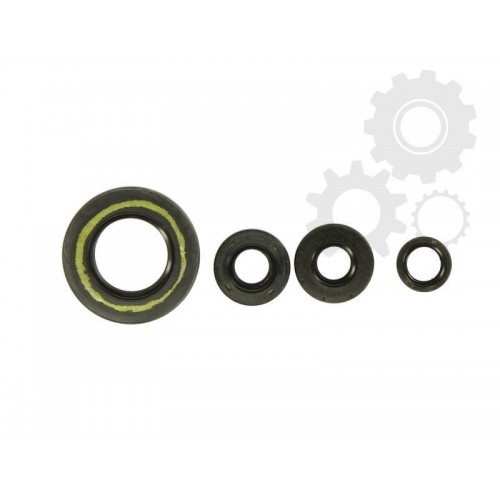 Set garnituri motor