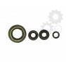 Set garnituri motor