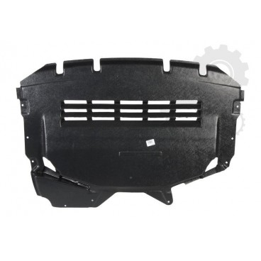 Scut motor/cutie viteze