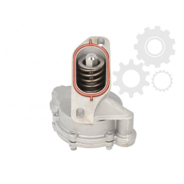 Pompa vacuum mecanica