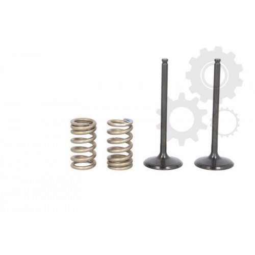 Supape/pastile reglaj Supape/pastile reglaj