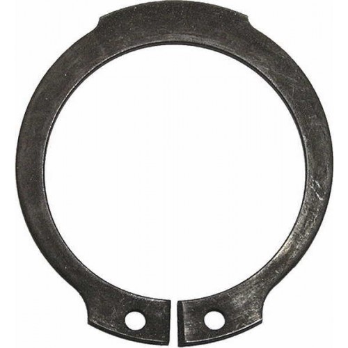 Outer Seeger rings