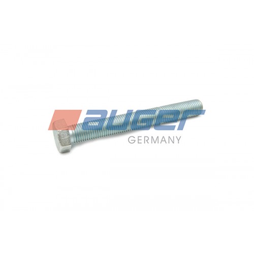 Leaf spring fixing bolt