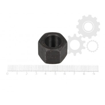 Leaf spring fixing nut