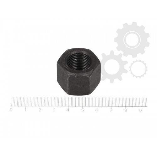 Leaf spring fixing nut