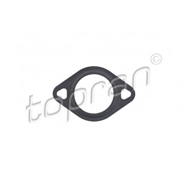 Garnitura supapa EGR