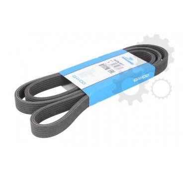 Curea transmisie canelata