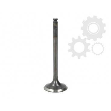 Supape/pastile reglaj