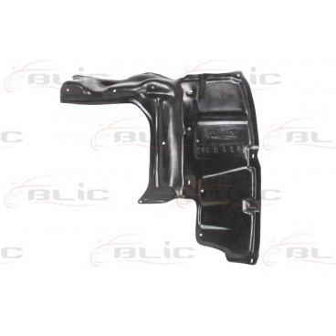 Scut motor/cutie viteze