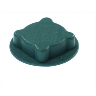 Capac vas expansiune