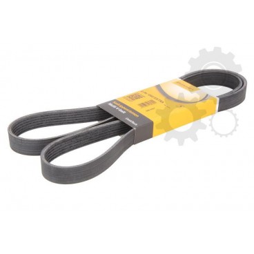 Curea transmisie canelata