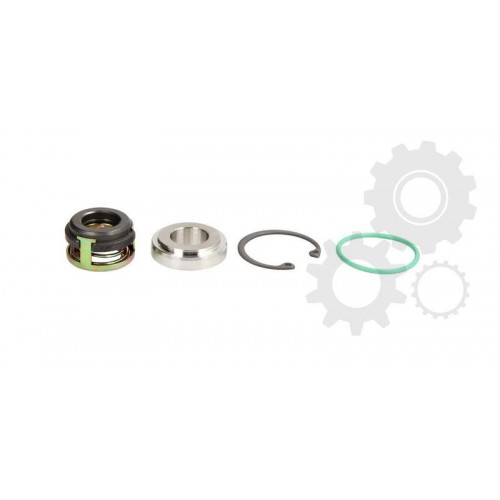 A/C compressor seal