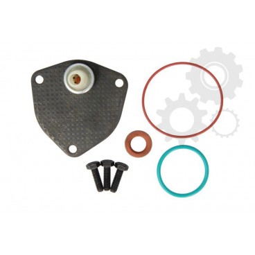 Kit reparatie pompa vacuum