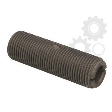 Leaf spring fixing bolt