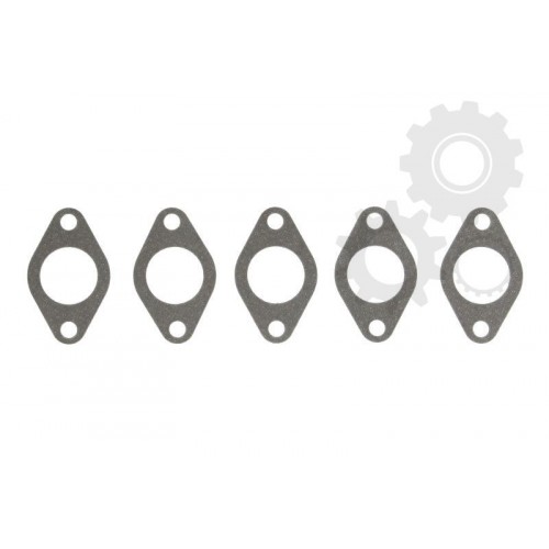 Garnitura supapa EGR
