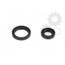 Crankshaft oil seals