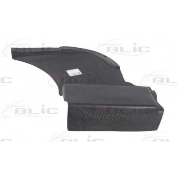 Scut motor/cutie viteze