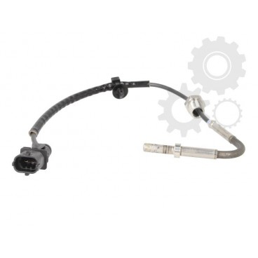 Senzor temperatura evacuare