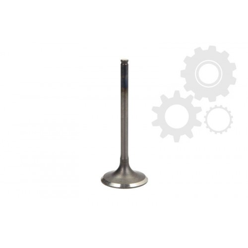 Supape/pastile reglaj Supape/pastile reglaj